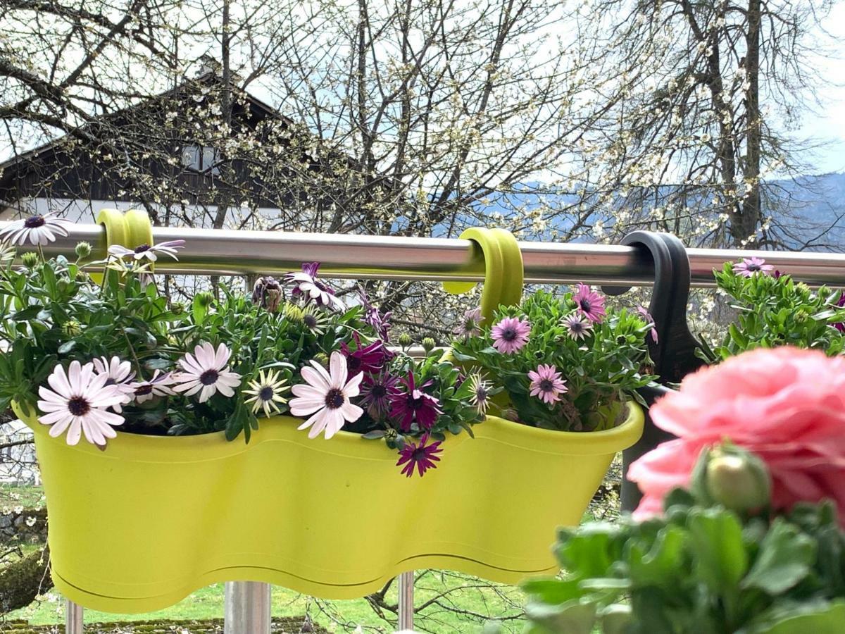 Apartments Apple Garden-2 ブレッド エクステリア 写真